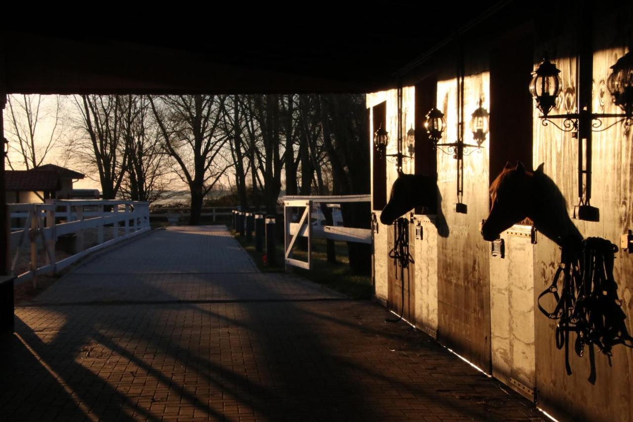 Luxus Resort Ruegen Residenz Kubitzer Bodden Rambin Esterno foto